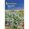 Borretsch einjährig ^ Kiepenkerl