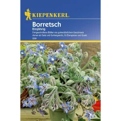 Borretsch einjährig ^ Kiepenkerl