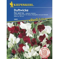 Edelwicken Fire und Ice Profi-Line ^ Kiepenkerl Hot