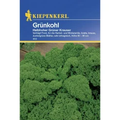 Grünkohl Halbhoher grüner krauser ^ Kiepenkerl Best