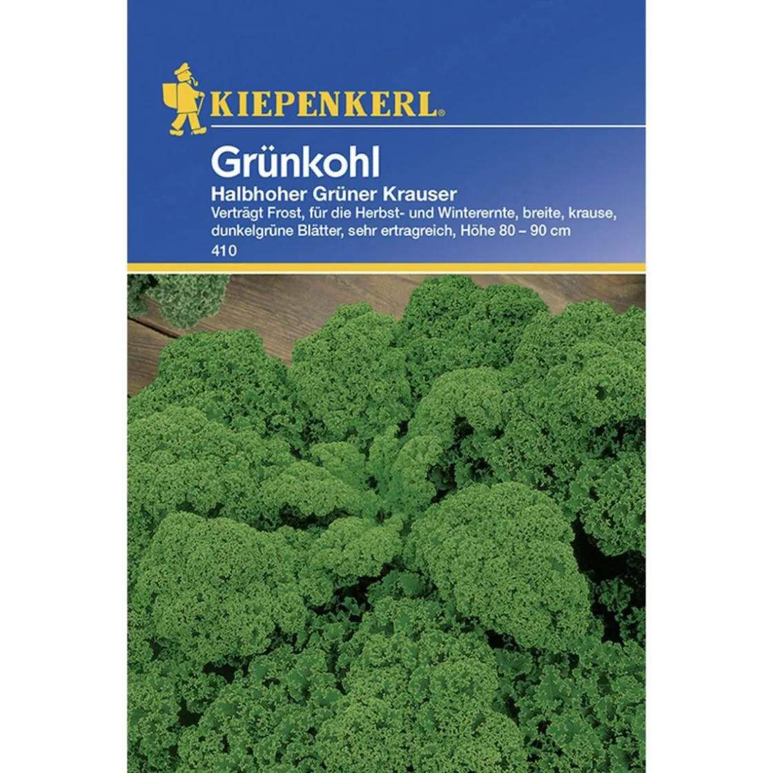 Grünkohl Halbhoher grüner krauser ^ Kiepenkerl Best