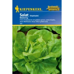 Kopfsalat Maikönig ^ Kiepenkerl Online