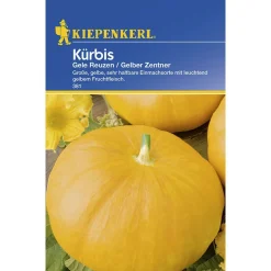 Kürbis Gele Reuzen Gelber Zentner ^ Kiepenkerl Best