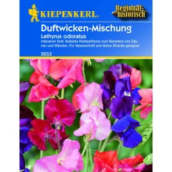 Lathyrus Mischung ^ Kiepenkerl Best