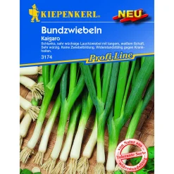 Lauchzwiebel Kaigaro ^ Kiepenkerl Discount