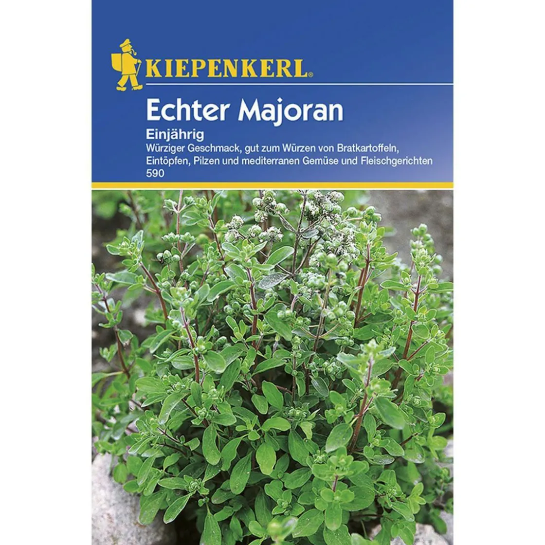 Majoran einjährig ^ Kiepenkerl Discount