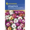 Mittagsblumen Dorotheantus Mischung ^ Kiepenkerl Outlet