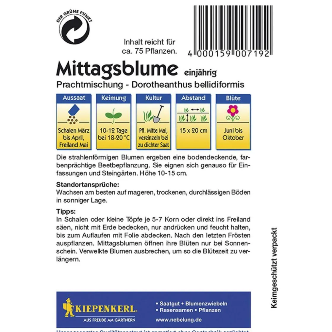 Mittagsblumen Dorotheantus Mischung ^ Kiepenkerl Outlet
