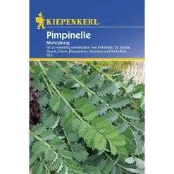 Pimpinelle mehrjährig ^ Kiepenkerl Clearance