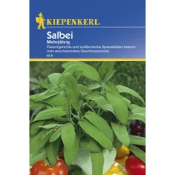 Salbei mehrjährig ^ Kiepenkerl Hot
