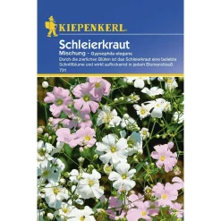 Schleierkraut Gypsophila einjährig ^ Kiepenkerl Discount