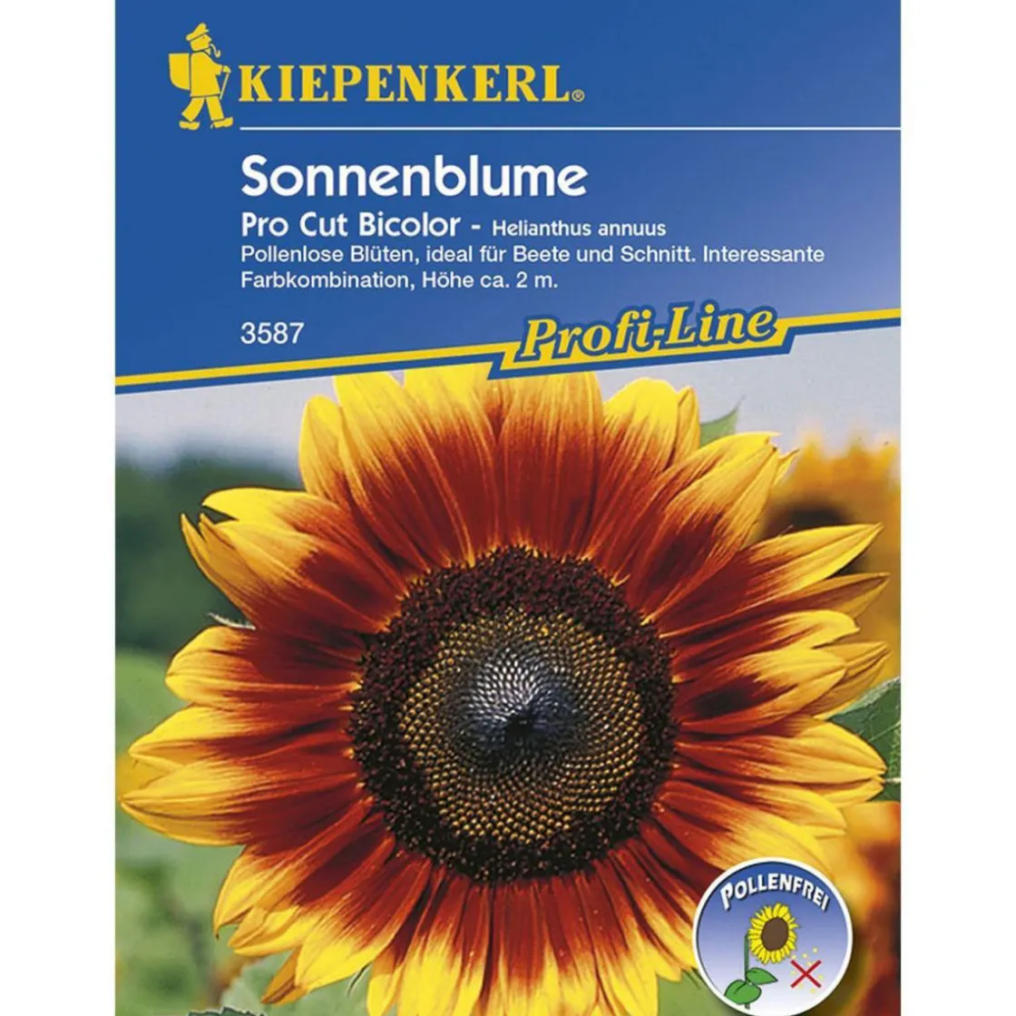 Sonnenblume Pro Cut Bicolor F1 ^ Kiepenkerl Hot
