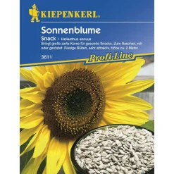 Sonnenblume Snack ^ Kiepenkerl Clearance