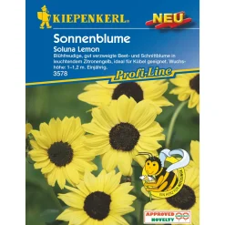 Sonnenblume Soluna Lemon ^ Kiepenkerl Best