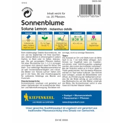 Sonnenblume Soluna Lemon ^ Kiepenkerl Best