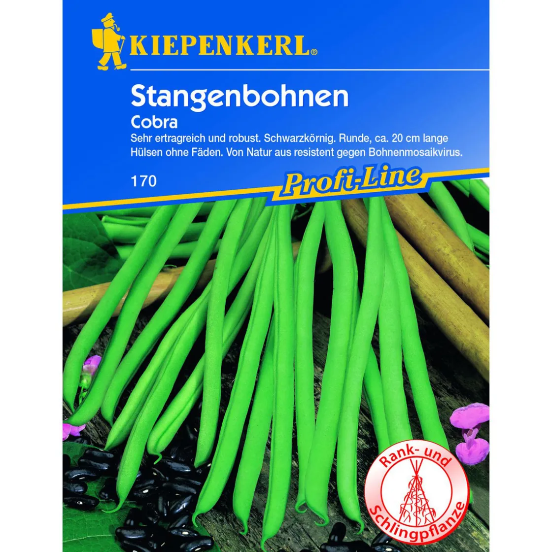Stangenbohne Cobra ^ Kiepenkerl Hot