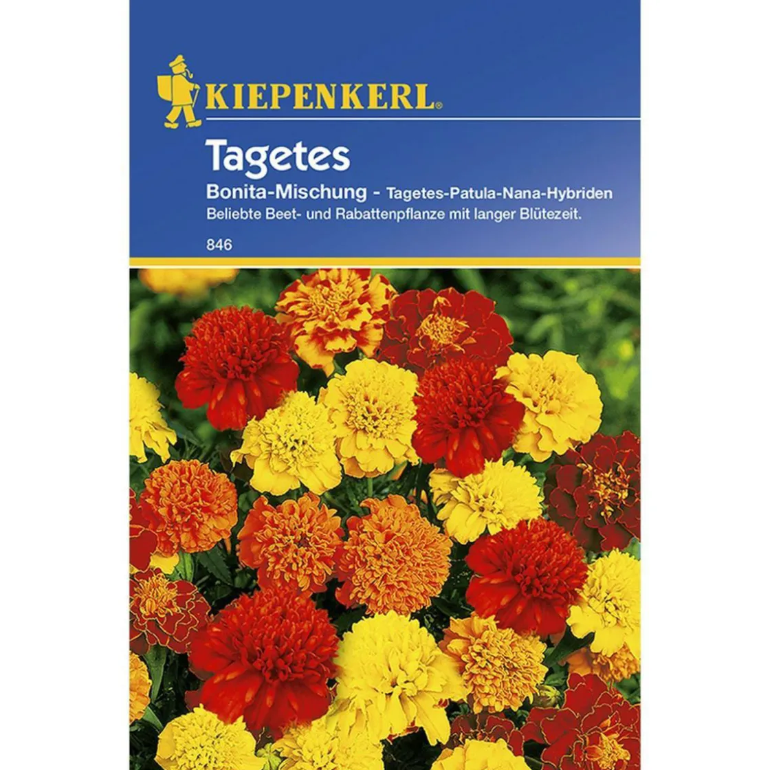 Tagetes Bonita-Mischung ^ Kiepenkerl Best