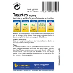 Tagetes Goldzwerg ^ Kiepenkerl