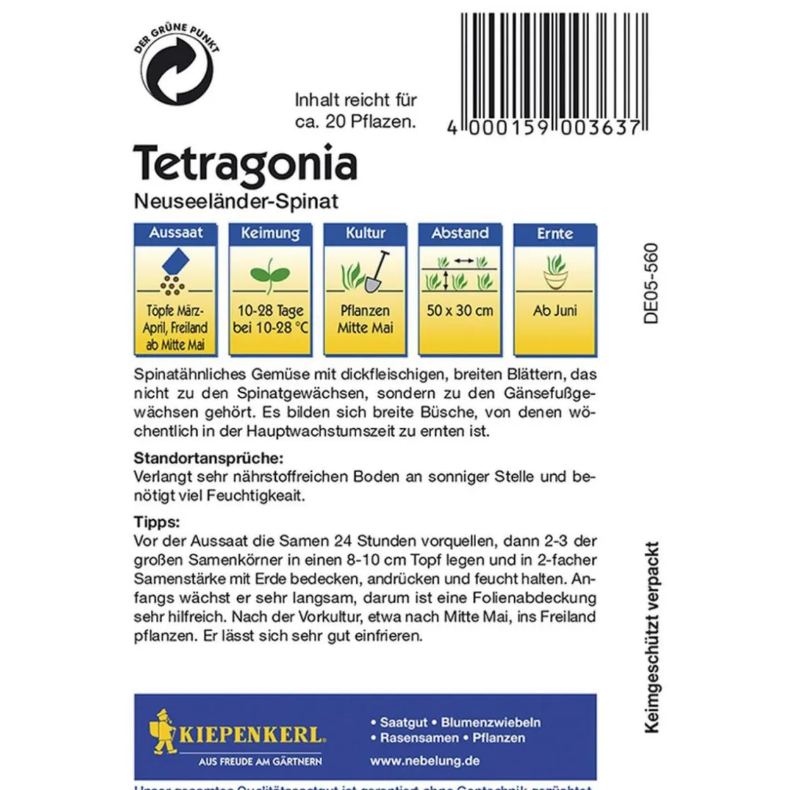 Tetragonia Neuseeländer Spinat ^ Kiepenkerl Hot