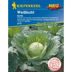 Weißkohl Sunta ^ Kiepenkerl Best