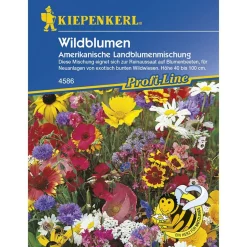 Wildblumen amerikanische Landblumenmischung Profi-Line ^ Kiepenkerl New