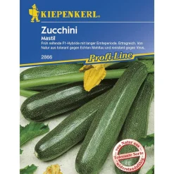 Zucchini Mastil F1 ^ Kiepenkerl Sale