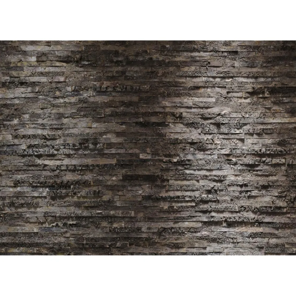 Papier-Fototapete Birkenrinde 8-teilig 368 x 254 cm ^ Komar New