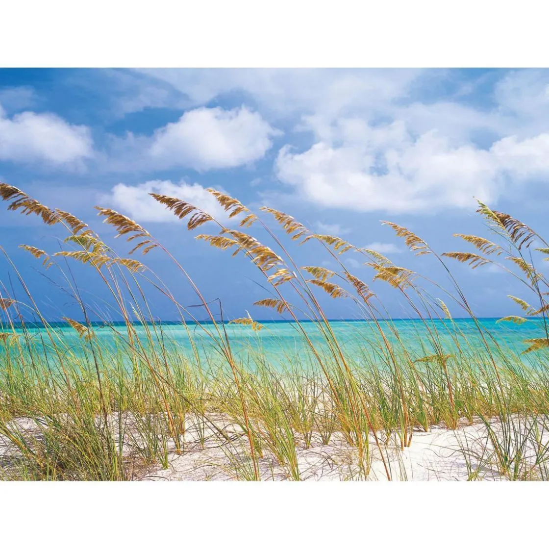 Papier-Fototapete Ocean Breeze 8-teilig 368 x 254 cm ^ Komar New