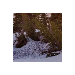 Vlies Fototapete America the Beautiful 450x280 cm ^ Komar Outlet