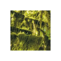 Vlies Fototapete Ancient World 400x250 cm ^ Komar Outlet