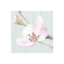 Vlies Fototapete Apple Bloom 250x250 cm ^ Komar Best