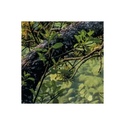 Vlies Fototapete Beautiful Germany 200x250 cm ^ Komar Discount