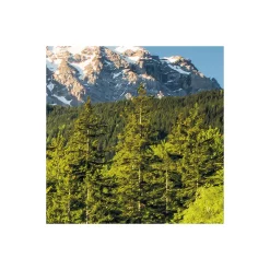 Vlies Fototapete Beautiful Germany 200x250 cm ^ Komar Discount