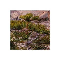 Vlies Fototapete Between the Light 450x280 cm ^ Komar Outlet