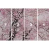 Vlies Fototapete Bloom 400x250 cm ^ Komar Hot