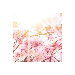 Vlies Fototapete Bloom 400x250 cm ^ Komar Hot