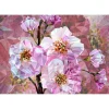 Vlies Fototapete Blooming Gems 368x248 cm ^ Komar New