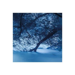 Vlies Fototapete Blue Waters 400x250 cm ^ Komar Online