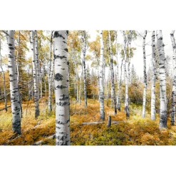 Vlies Fototapete Colorful Aspenwoods 450x280 cm ^ Komar Clearance