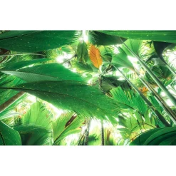 Vlies Fototapete Dschungeldach II 450x280 cm ^ Komar Online