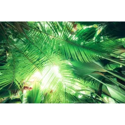 Vlies Fototapete Dschungeldach 450x280 cm ^ Komar
