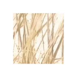 Vlies Fototapete Dune Grass 400x250 cm ^ Komar Best