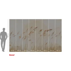 Vlies Fototapete Dune Grass 400x250 cm ^ Komar Best