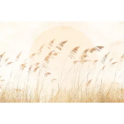 Vlies Fototapete Dune Grass 400x250 cm ^ Komar Best
