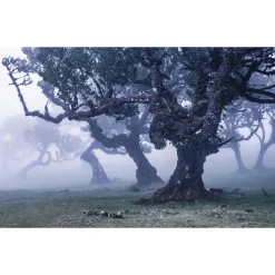 Vlies Fototapete Ghost Line 400x250 cm ^ Komar Discount