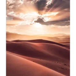 Vlies Fototapete God Rays 200x250 cm ^ Komar New