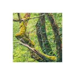 Vlies Fototapete Green Tales 400x250 cm ^ Komar New