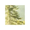 Vlies Fototapete Indulgence of Beauty 200x250 cm ^ Komar Best