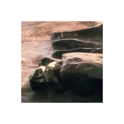 Vlies Fototapete Island Dreaming 200x250 cm ^ Komar New