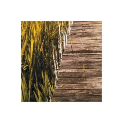 Vlies Fototapete Lakeside 300x250 cm ^ Komar Sale